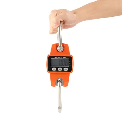 300kg precision electronic hanging scale