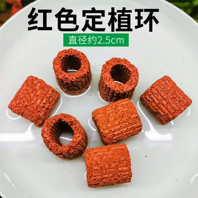 Aquarium Plant Anchoring Ring Set, Volcanic Stone and Ceramic, for Moss and Stem Plants