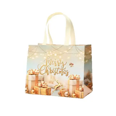Laminated Christmas Non-Woven 3D Gift Bag with Handles