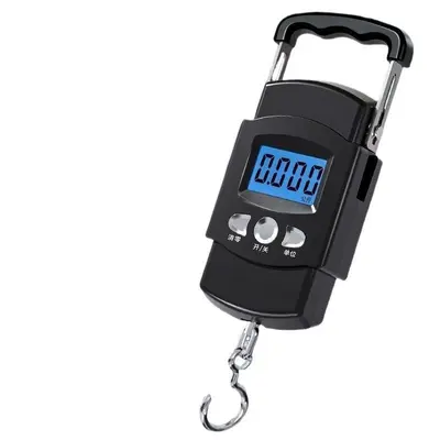 Mini electronic scale portable with hook