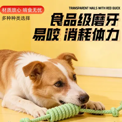 Dog Rope Knot Chew Toy, Durable, Teeth Cleaning, for Small and Large Dogs - 5
