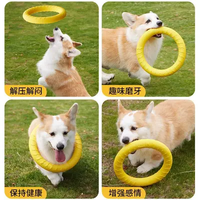 EVA Pull Ring Dog Toy, Bite-Resistant, Waterproof - 4