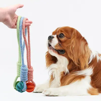 Indestructible Dog Toy Chew Resistant Self-Play Boredom Relief Pet Chewing Molar Dog Toy Bite-Proof Rope Ball Puppy Supplies