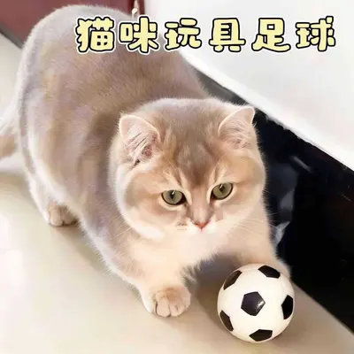 Kedi Futbol Topu, Elastik ve Eğitici Oyuncak - 7