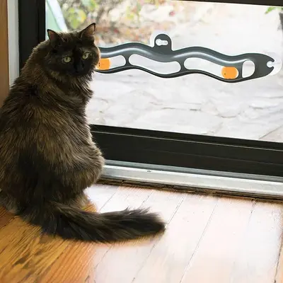 Pencere Kedi Yürüyüş Yolu ile Vantuzlu Masa Tenisi Topu Kedi Oyuncağı - 4