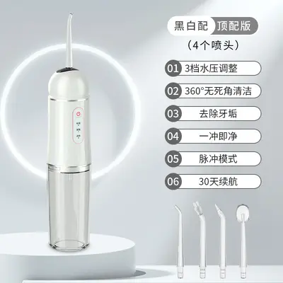 Portable Electric Oral Irrigator with Tartar Remover - 10