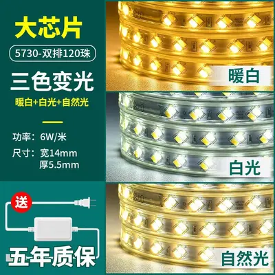led灯带5370三色变光高压220V防水室内吊顶超亮双排七彩柔性灯条 - 8