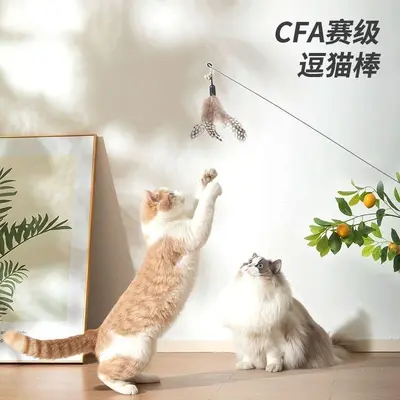 Long Handle Feather Cat Teaser Wand, Durable - 3