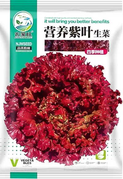 Spring Vegetable and Fruit Seeds: Lettuce, Beans, Corn, Watermelon, Tomato, Pepper - 12