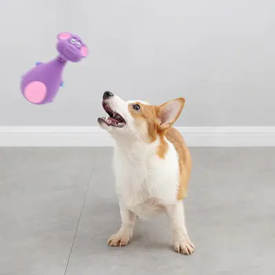 Evcil hayvan lateks köpek oyuncağı, sesli çiğneme oyuncağı