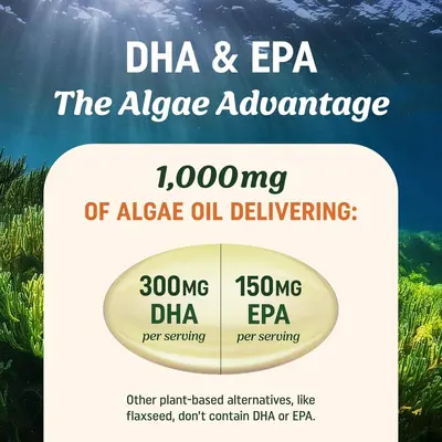 Vegan Omega 3 Balık Yağı Yumuşak Kapsül DHA+EPA Yüksek Saflık