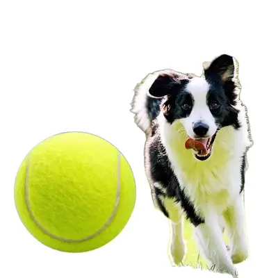 Tenis Topu Köpek Oyuncağı, Elastik Rebound Top, Dış Mekan Eğitim Topu
