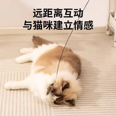 CFA Cat Teaser Wand, Long Pole, Feather Replacement Head, Bite-Resistant - 5