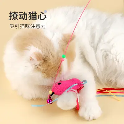 Cat teaser wand toy with two-color feathers, high durability, 6 pcs - 4
