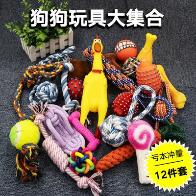 Dog Teeth Cleaning Toy Set, Cotton Rope, Durable, Squeaky, for Small Dogs - 4