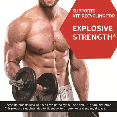 外贸热销品Creatine Monohydrate Powder肌酸一水合物粉源头工厂
