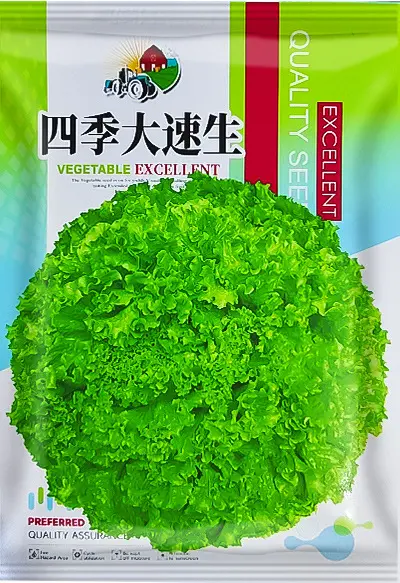 Spring Vegetable and Fruit Seeds: Lettuce, Beans, Corn, Watermelon, Tomato, Pepper - 10