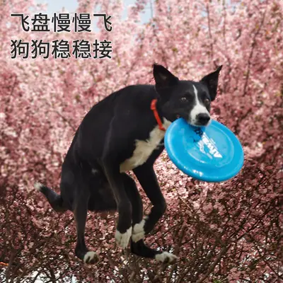 Aiwang yarış sınıfı köpek frizbisi, PE aşınmaya ve ısırmaya dayanıklı - 4