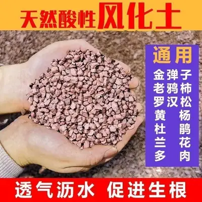 Bonsai Soil Mix with Akadama, Acidic Soil and Red Sand Granules - 6