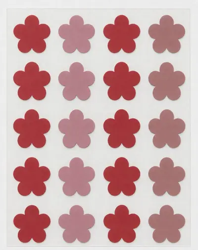 Blumenmuster Hydrokolloid-Akne-Patches 24er Packung Porenreinigung - 12