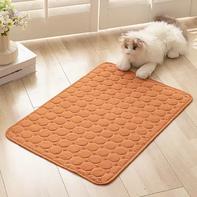 防滑猫垫四季通用小狗猫咪凉席睡觉隔尿垫宠物通用纯色防潮宠物垫 - 2
