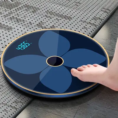 Electronic weight scale, digital, high precision