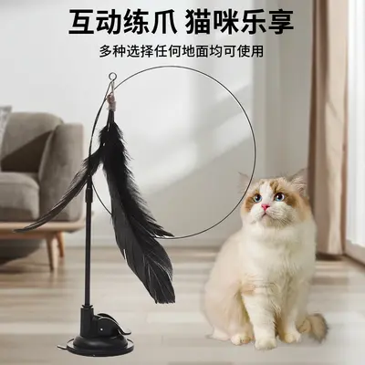 Suction Cup Cat Teaser Wand with Bell, for Kittens, Pack of 1 - 4