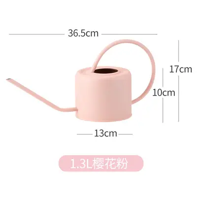 Iron Watering Can with Long Spout, Fine Nozzle for Succulents, Household and Garden - 9