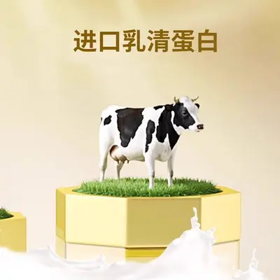 Conba Gold Can Protein Tozu Whey Protein Tozu Yaşlılar İçin Bağışıklığı Güçlendirir Üretici Dropshipping Toptan Satış