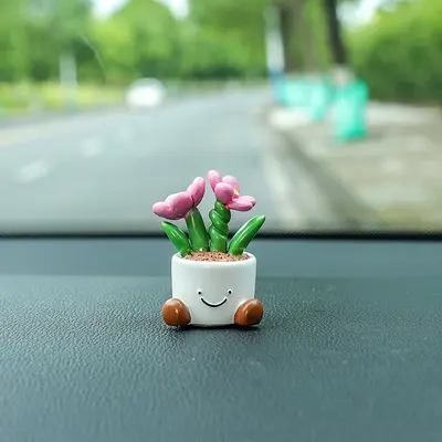 Cute Car Interior Decoration with Mini Potted Flowers - 7