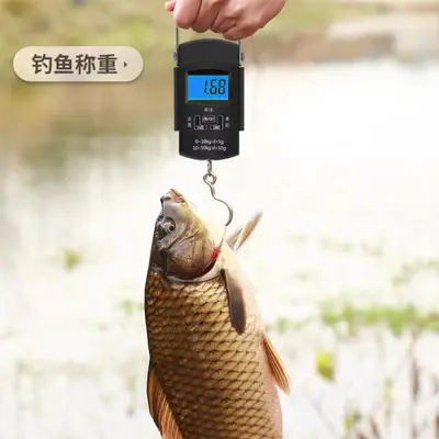 Electronic Hanging Scale 50kg, High Precision, Portable