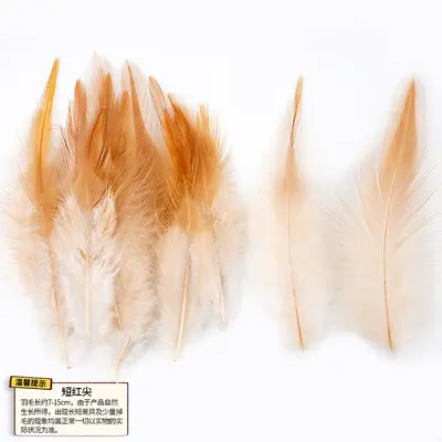 Natural Color Chicken Feather Cat Teaser Wand, 50 Pieces - 7