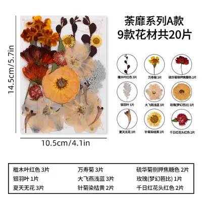 DIY Photo Frame Craft Kit with Dried Real Flowers and Plant Specimens - 7