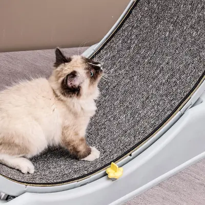 Sınır Ötesi Yeni Model Kedi Koşu Bandı Kedi Fitness Egzersiz Sessiz Büyük Boy Kedi Tırmalama Dayanağı Koşu Bandı Oyuncak Toptan