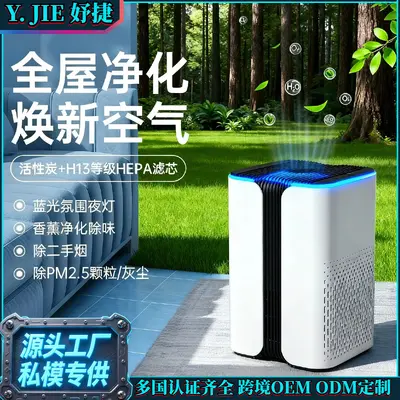 Small Negative Ion Air Purifier, PM2.5 and Formaldehyde Removal - 1