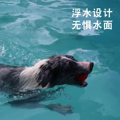Elastischer Hundeball aus massivem Gummi, bissfest und zahnfleischschonend