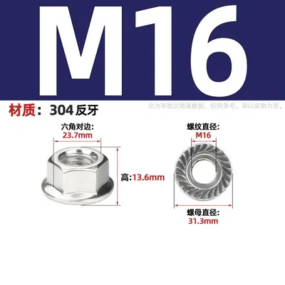 Flanschmutter aus Edelstahl 304, DIN 6923, M3-M12 - 13