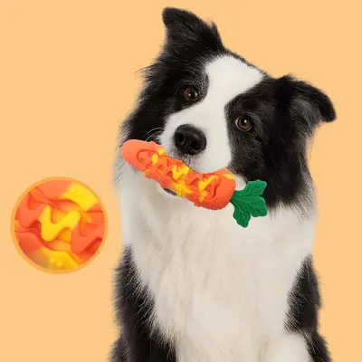 Silicone carrot dog toy, squeaky and durable