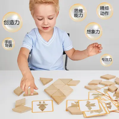 Wooden Thinking Block Puzzle, Geometric Logic and Spatial Intelligence Toy
