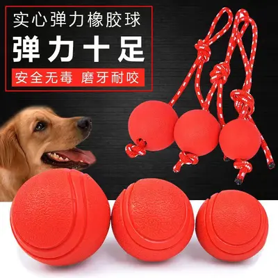 Dog Toy TPR Rubber Bouncing Ball with Rope, Bite-Resistant Dental Training Pet Toy - 6