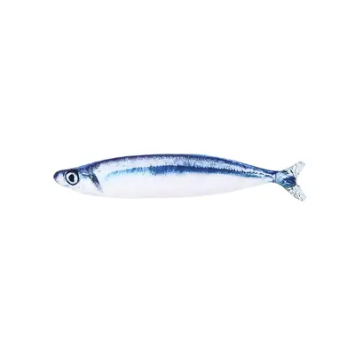 Simulated fish cat toy plush - 7