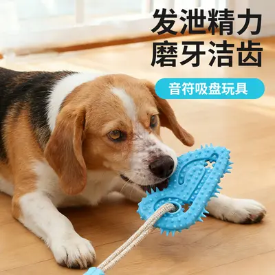 Saugnapf-Hundespielzeug, bissfest, für kleine Hunde