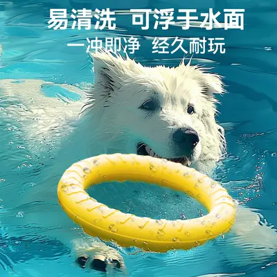 Durable Chew Tug Ring and Frisbee Dog Training Toy - 5