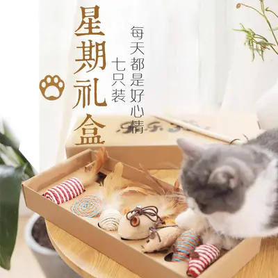 Feather Cat Teaser Wand Set with Chew-Resistant Molar Stick - 6