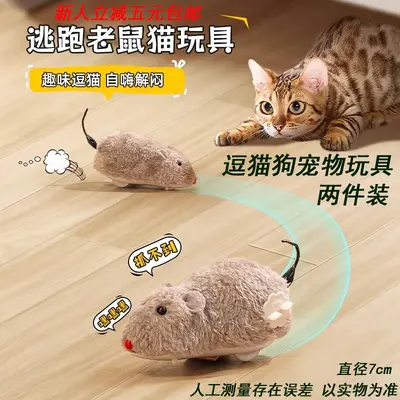Realistic Electric Mouse Cat Toy 2-Piece Set - 7