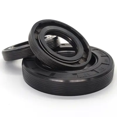 TG4/TC/SC Nitrile and Fluororubber Skeleton Oil Seal, Non-Standard