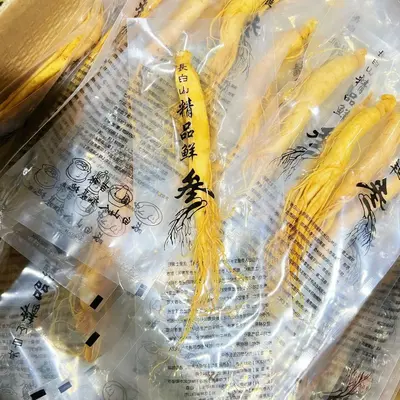 Frischer Changbai-Ginseng, nordostchinesische Spezialität, zum Ansetzen in Alkohol - 13
