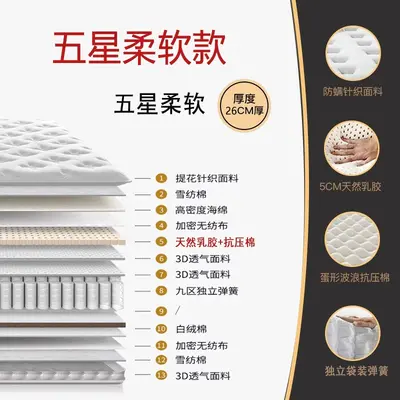 Five-Star Hotel Style Latex Memory Foam Pocket Spring Mattress - 10