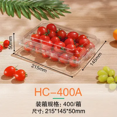 Einweg-Obst-Verpackungsbox mit Deckel, Frischgemüse-Kunststoffverpackungsbox, PET-Lebensmittelqualität, transparente Obstschnittbox - 12