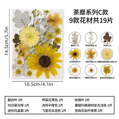DIY Photo Frame Craft Kit with Dried Real Flowers and Plant Specimens - 9